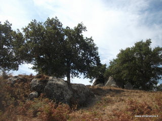 ano Margi-18-08-2016 11-26-57